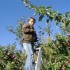 Bref, on est allé aux pommes.