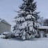 Tempête du siècle