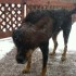 Grand froid!!!!!!