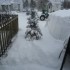 le retour de la neige!