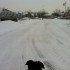 le retour de la neige!
