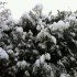 le retour de la neige!
