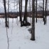 cabane à sucre!