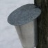 cabane à sucre!