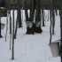 cabane à sucre!