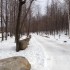 cabane à sucre!