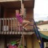 Bricolages et barouettage du g