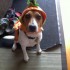 HALLOWEEN!