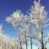 journée de ski!