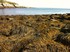 Portland, Maine, USA