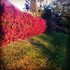 Les couleurs d'automne!