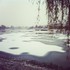 Le retour de la neige !