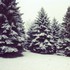 4 saisons au Québec, reportag