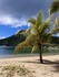 25 ans de Mariage en Guadeloup