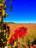 Septembre en France