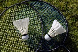 badminton mulhouse