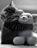 Chat alors ^^