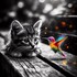 Chat alors ^^
