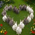 Mignonnerie ^^