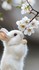 Mignonnerie ^^