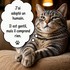 Chat alors ^^