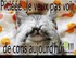 Belle journée de mercredi à 