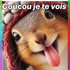 Un agréable lundi à tous