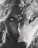 Le loup en toi me fit peur au début...