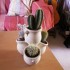 Le repos du guerier !!! :oD