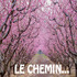 LE CHEMIN...