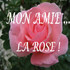 LA ROSE MON AMIE...