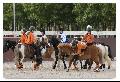 Brimbo : Les meilleurs en HB!!!!!