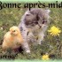 bonne après midi