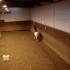 Cours du 07/02/2009 avec Langk