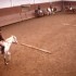 Cours du 14/03/2009 avec Icare