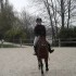 Cours du 4/04/2009 avec Equus