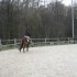Cours du 4/04/2009 avec Equus