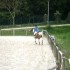 Concours Poneys