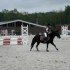Concours Poneys