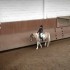 Cours du 16/05/2009 avec Okapi