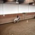 Cours du 16/05/2009 avec Okapi