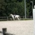 Cours du 6/06/2009 avec Langko