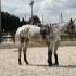 Cours du 13/06/2009 avec Micho