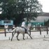 Cours du 13/06/2009 avec Micho