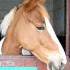 Cours du 5/12/2009 avec Lolita