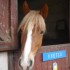Cours du 12/12/2009 avec Quetc