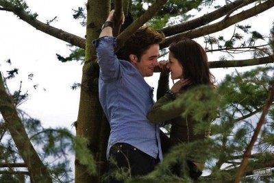 Bella et Edward dans les arbres-chap.1 fascination