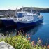 le port du Stiff d'Ouessant.