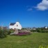 bouquet de fleurs de Ouessant 