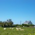 balade à Ouessant .bonne  vis